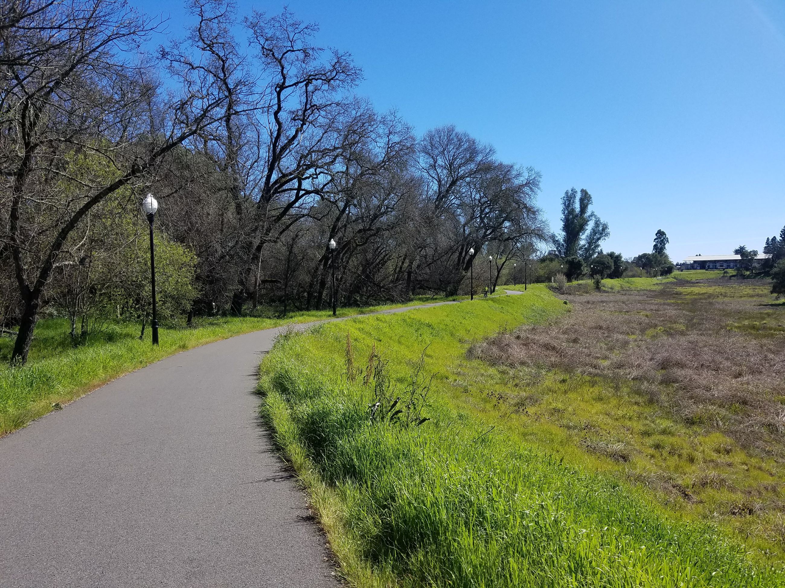 Foss Creek Trail Sunny